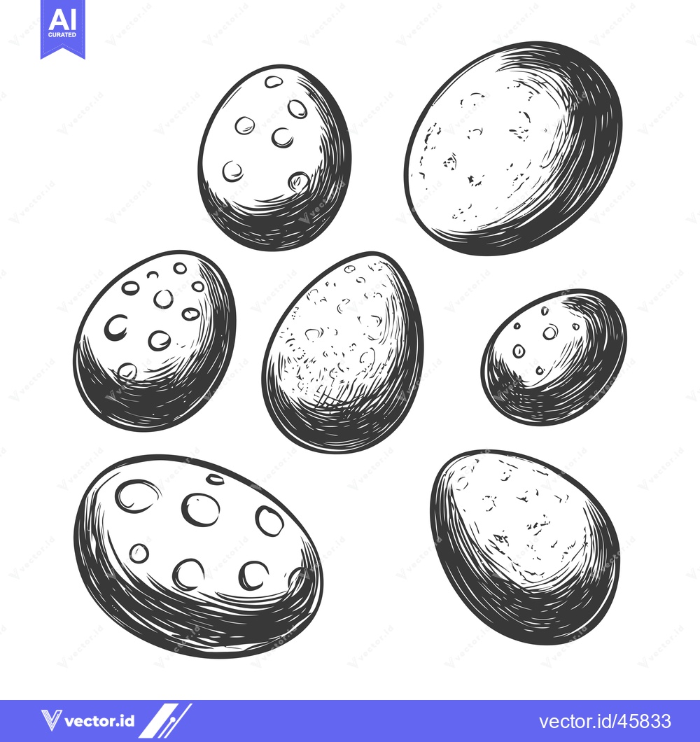 Premium Vector of Hand-drawn illustration of six speckled eggs