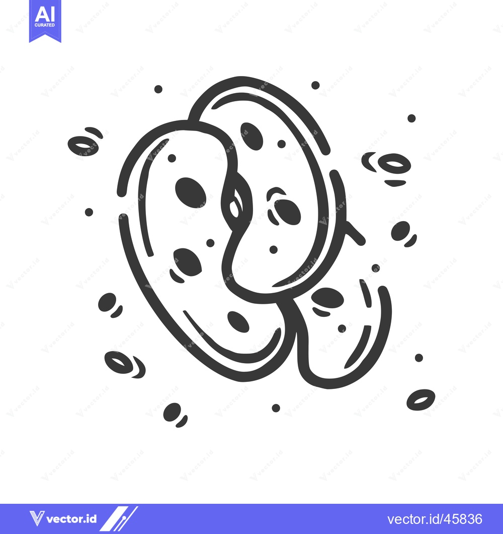 Premium Vector of Hand-Drawn Illustration of Sliced Apple with Seeds