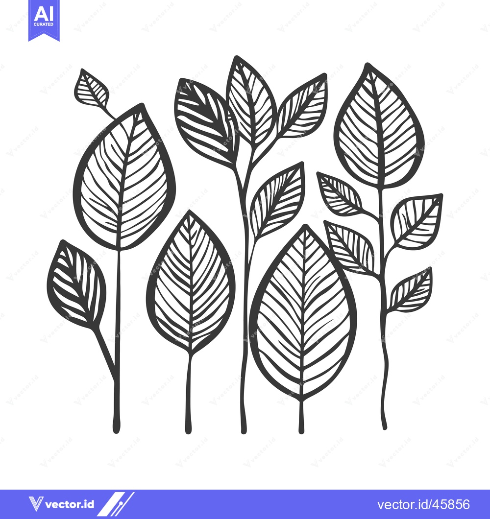Premium Vector of Hand-drawn illustration of stylized leaves with intricate vein pattern