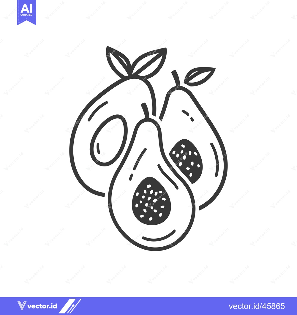 Premium Vector dari Hand-drawn illustration of three avocados