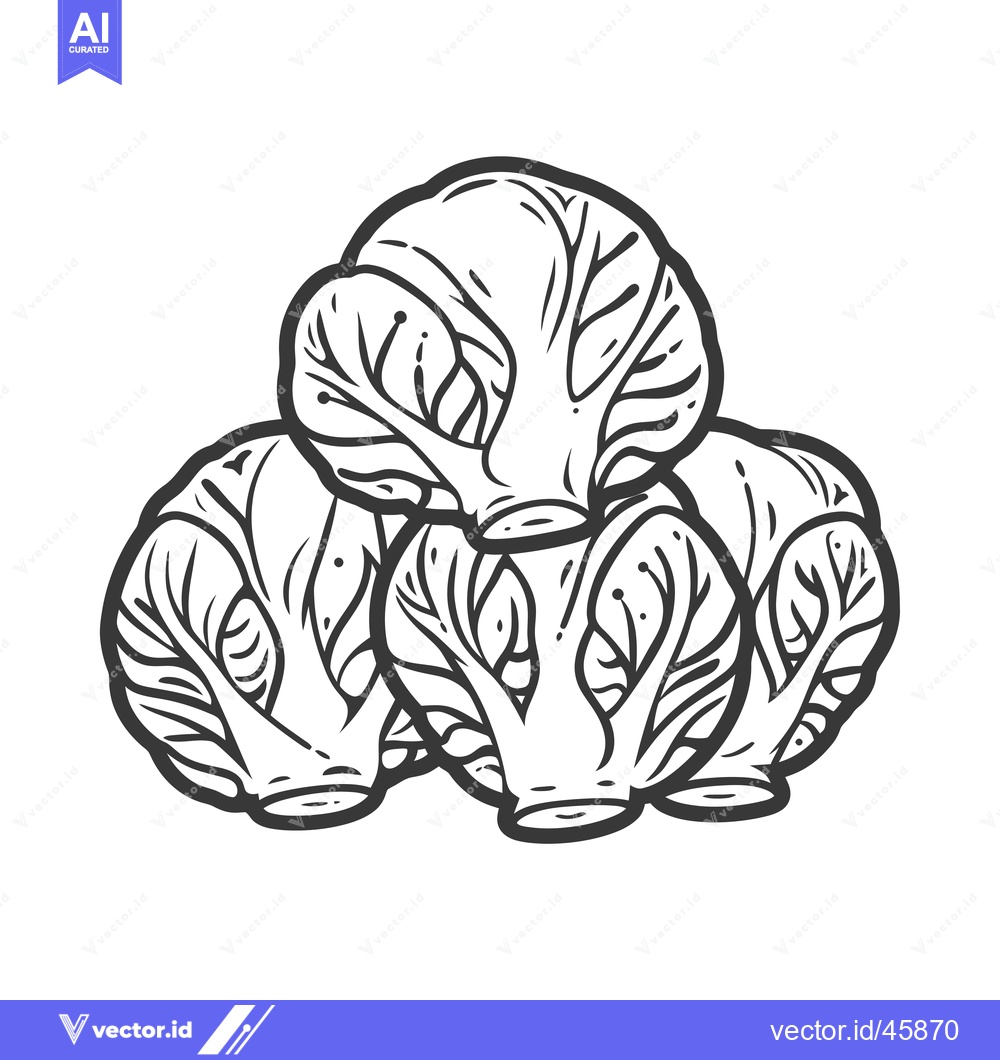 Premium Vector of Hand-drawn Illustration of Three Brussels Sprouts