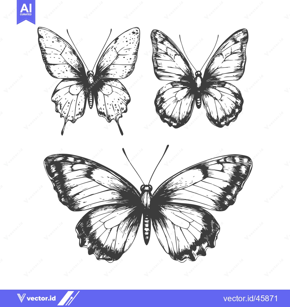 Premium Vector dari Hand-Drawn Illustration of Three Butterflies with Detailed Wing Patter