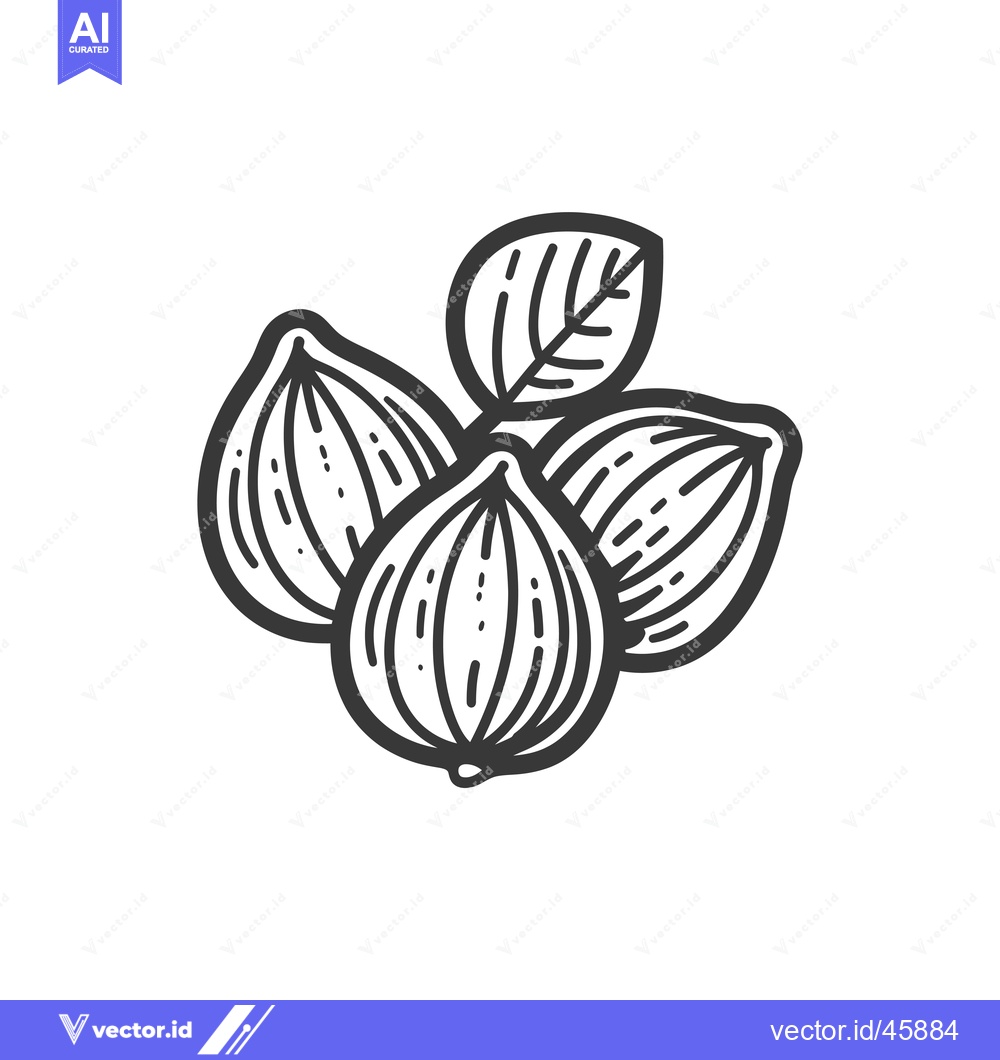 Premium Vector dari Hand-drawn illustration of three hazelnuts with a leaf