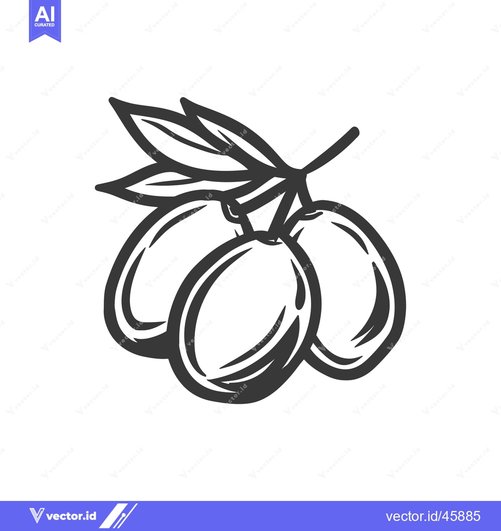 Premium Vector dari Hand-drawn illustration of three olives with a leaf