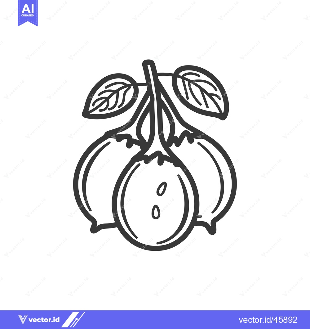 Premium Vector dari Hand-drawn illustration of three round fruits with leaves