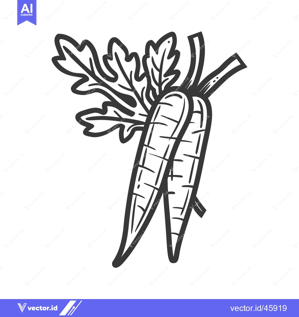 Premium Vector of Hand-Drawn Illustration of Two Carrots with Green Leaves