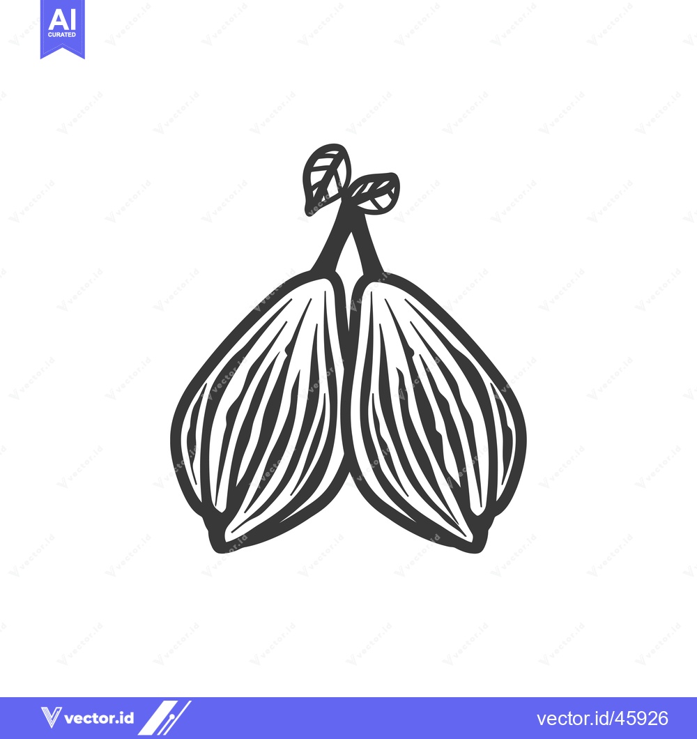 Premium Vector of Hand-drawn illustration of two figs with leaves