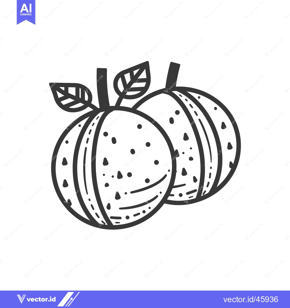 Premium Vector of Hand-drawn illustration of two oranges with leaves