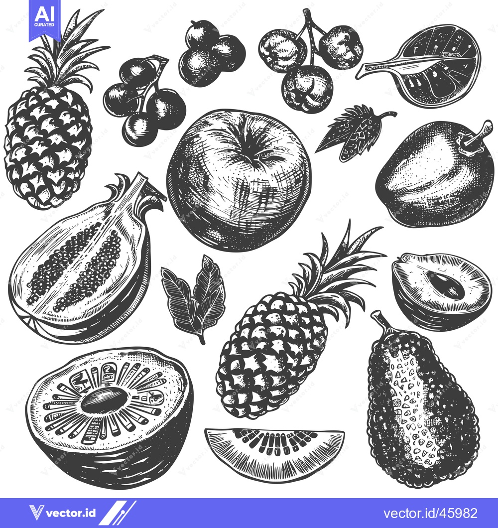 Premium Vector dari Hand-drawn Illustration of Various Fruits and Berries