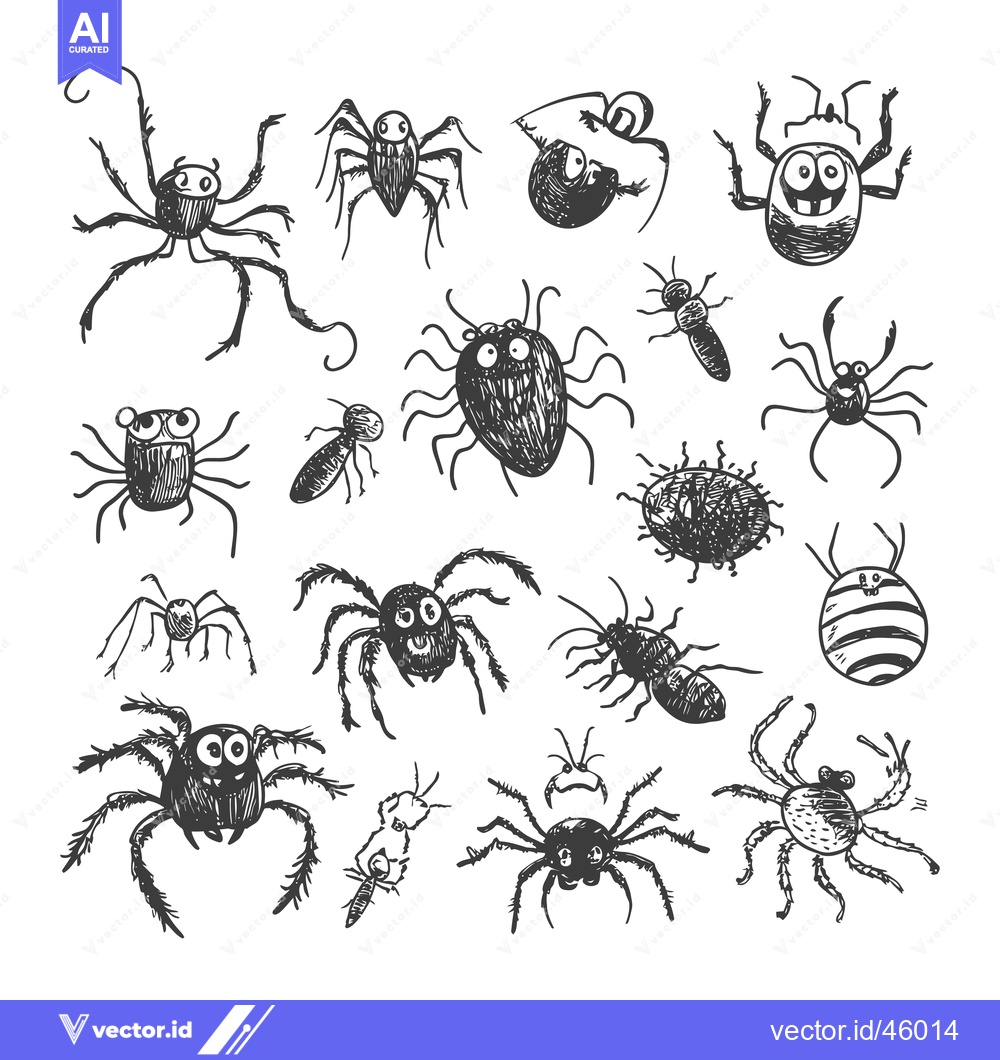 Premium Vector of Hand-Drawn Illustration of Various Spiders and Insects