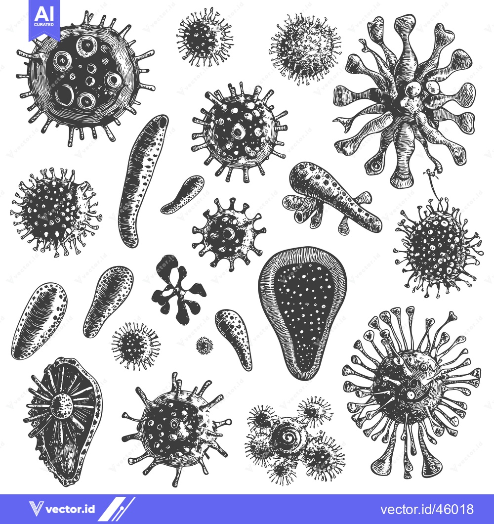 Premium Vector of Hand-drawn Illustration of Various Types of Microorganisms