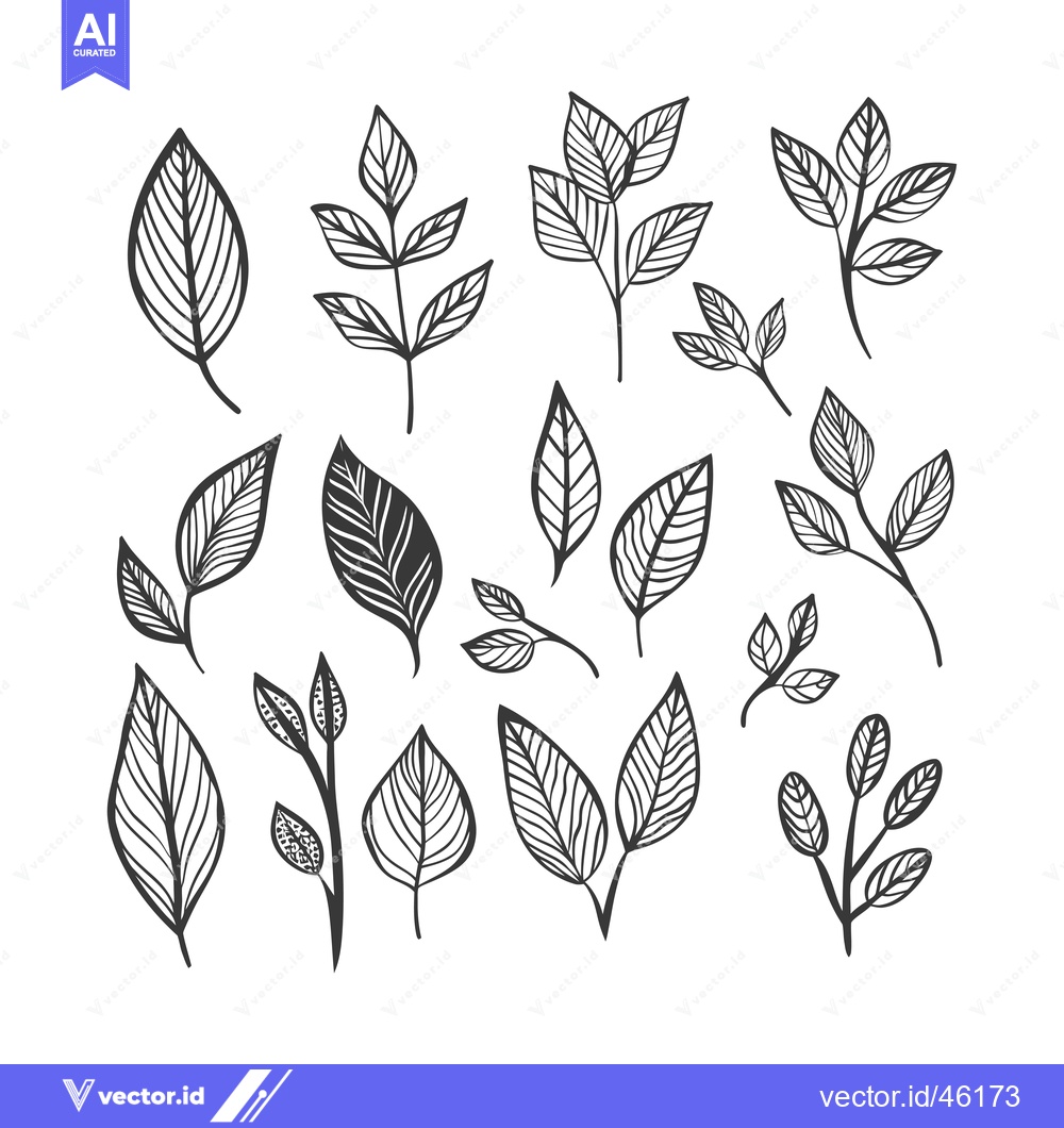 Premium Vector of Hand-Drawn Line Art Collection of Various Leaves and Stems