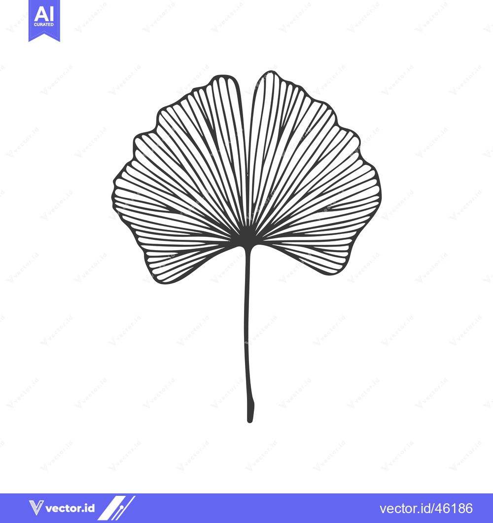Premium Vector dari Hand-Drawn Line Art Illustration of a Ginkgo Leaf
