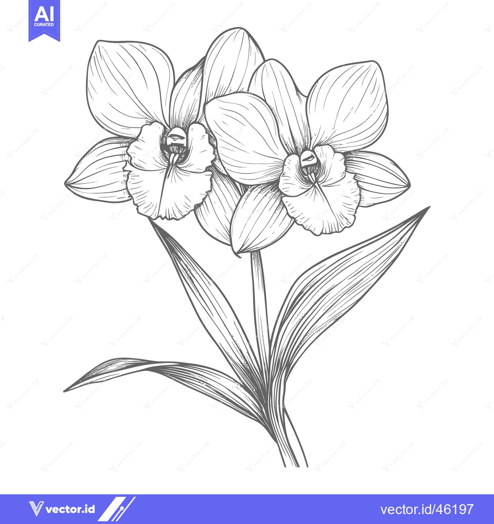 Premium Vector dari Hand-Drawn Line Art Illustration of an Orchid Flower