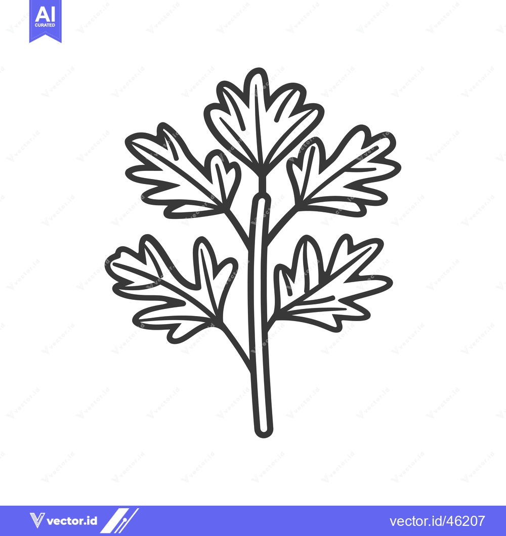 Premium Vector of Hand-drawn Line Art Illustration of a Sprig of Parsley