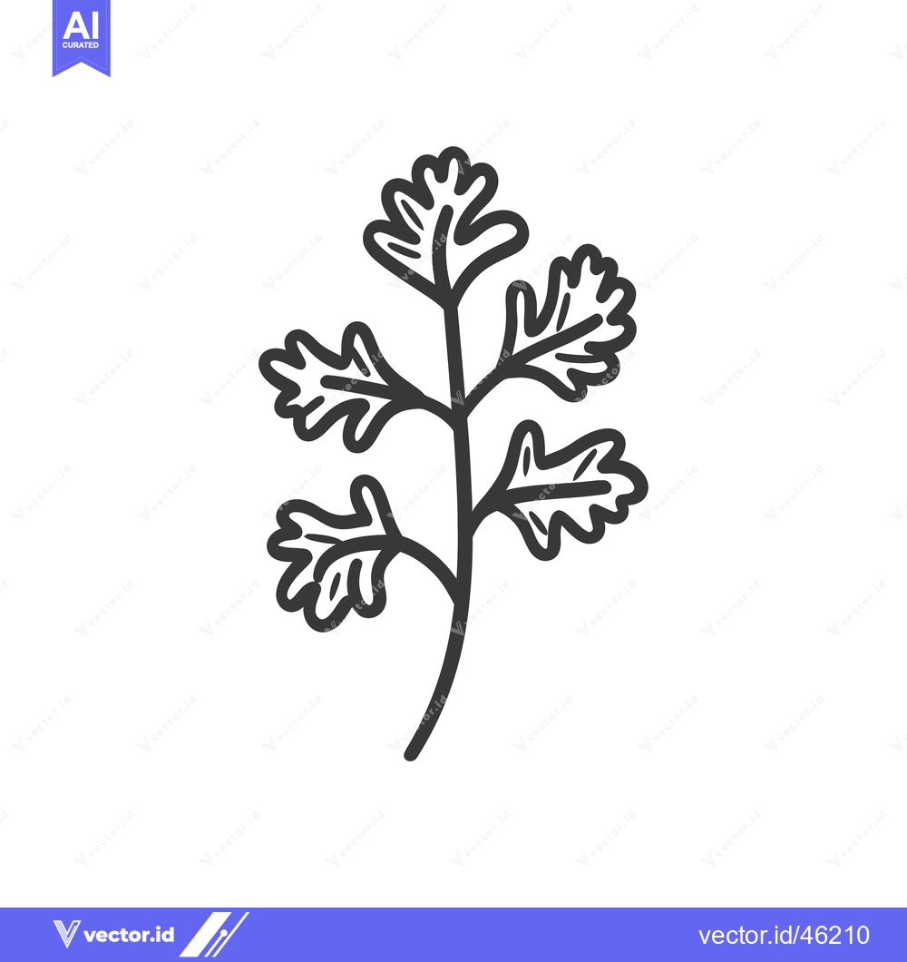 Premium Vector of Hand-Drawn Line Art Illustration of Coriander Sprig
