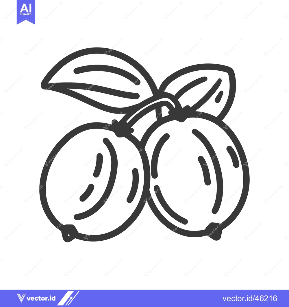 Premium Vector dari Hand-Drawn Line Art Illustration of Two Gooseberries with Leaves