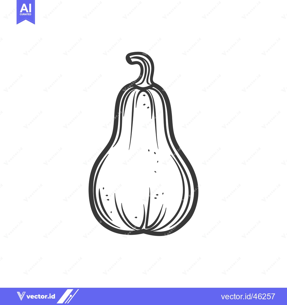 Premium Vector of Hand-Drawn Outline Illustration of a Butternut Squash