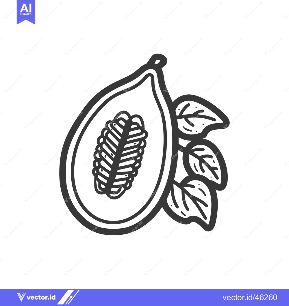 Premium Vector of Hand-Drawn Outline Illustration of a Half Papaya with Leaves