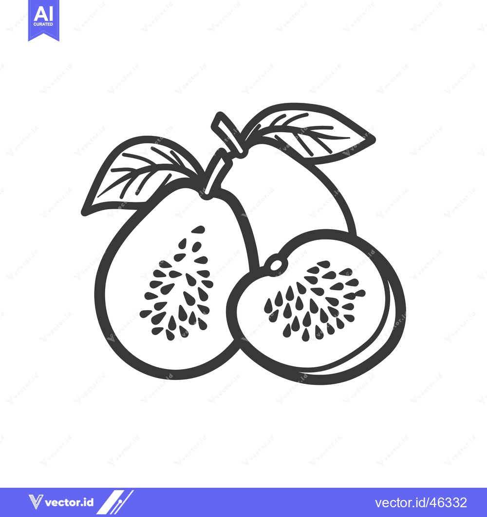 Premium Vector dari Hand-drawn Outline of Guava with Seeds and Leaf