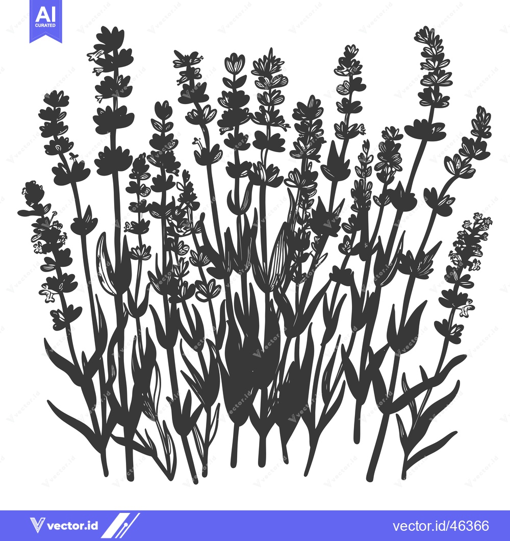 Premium Vector of Hand-Drawn Silhouette of a Bunch of Lavender Flowers