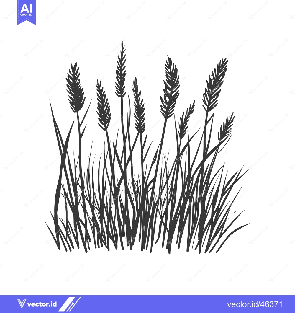 Premium Vector of Hand-drawn silhouette of tall grass with prominent blades