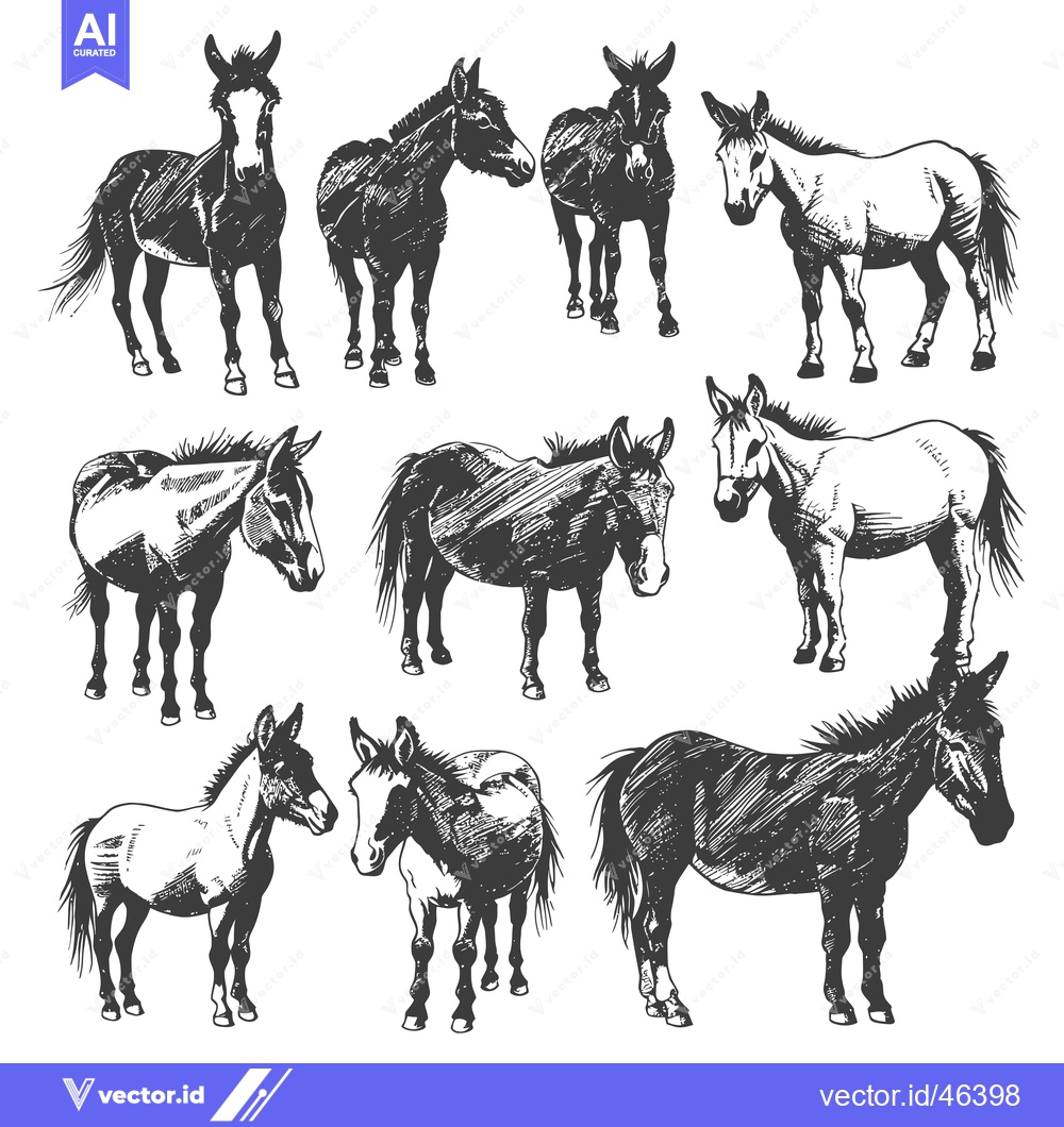 Premium Vector dari Hand-Drawn Sketches of Donkeys in Various Poses