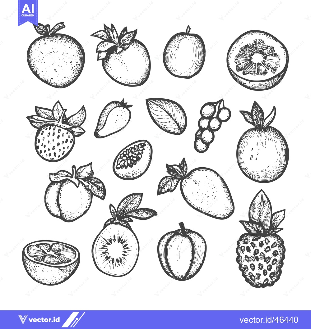 Premium Vector of Hand-Drawn Sketches of Various Fruits and Berries