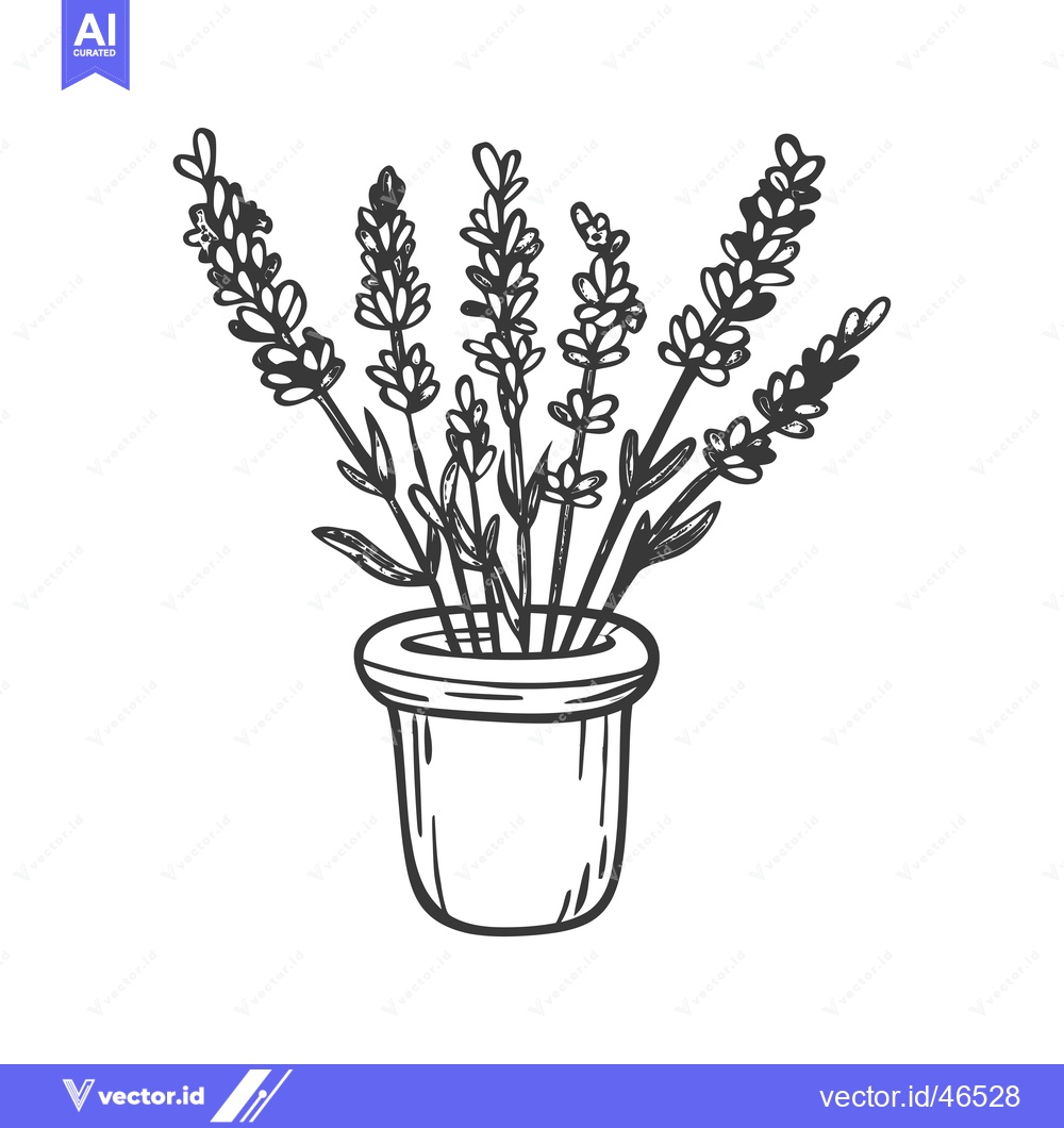 Premium Vector dari Hand-drawn sketch of a bouquet of lavender in a vase