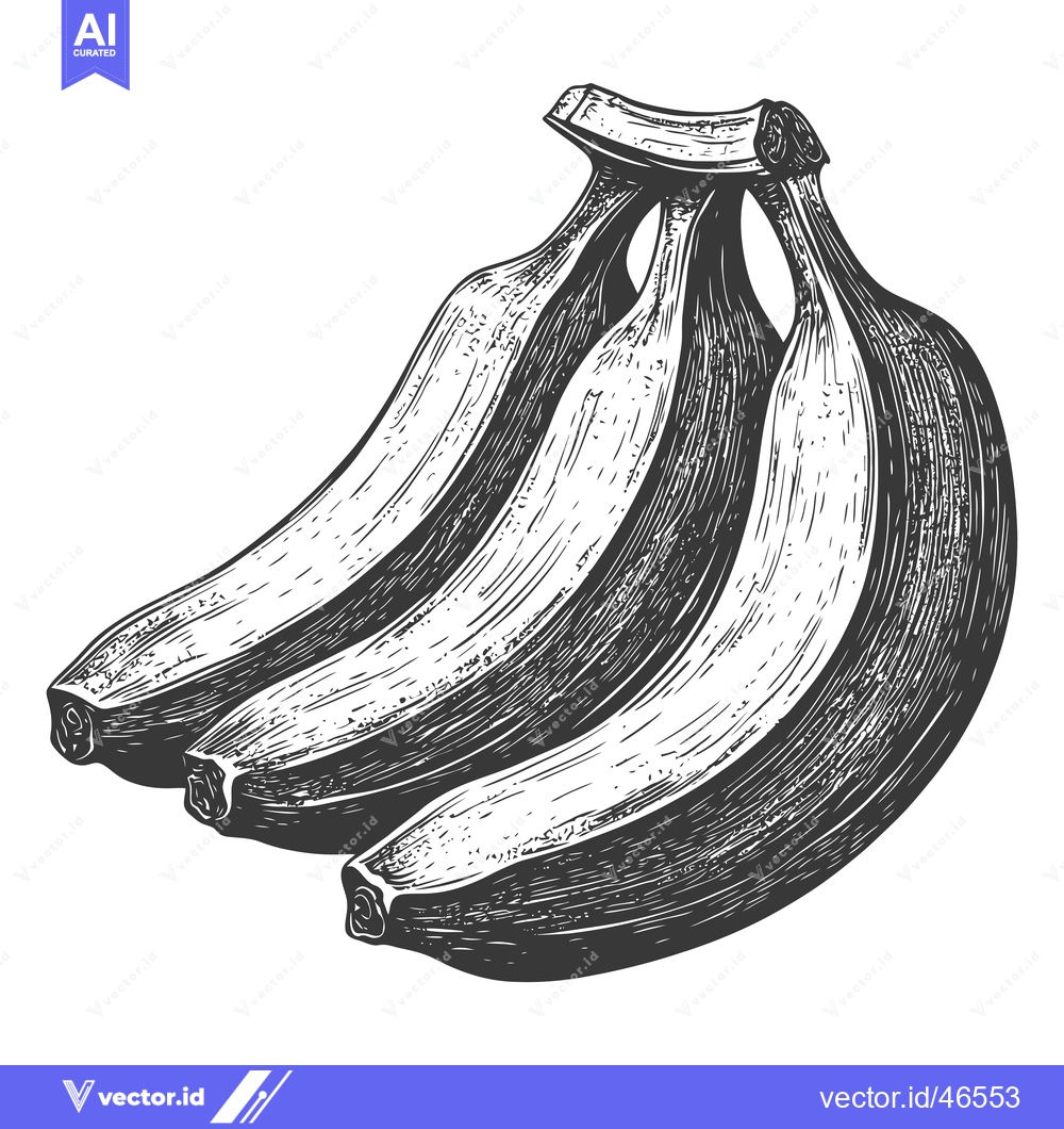 Premium Vector of Hand-Drawn Sketch of a Bunch of Bananas
