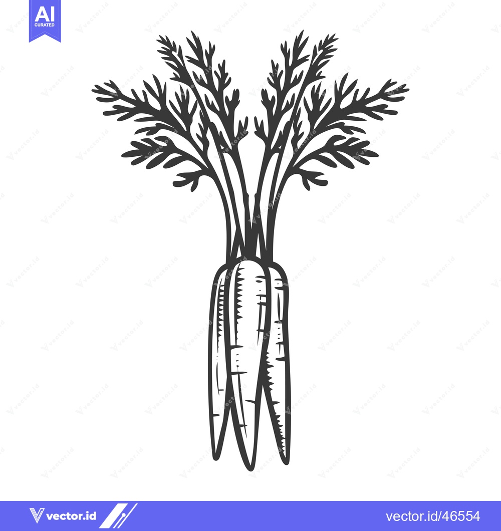 Premium Vector dari Hand-drawn sketch of a bunch of carrots with green leaves