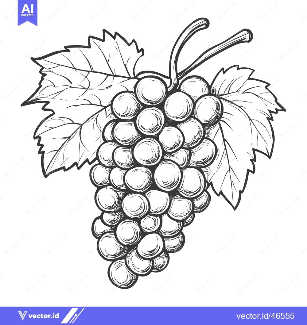 Premium Vector dari Hand-Drawn Sketch of a Bunch of Grapes with Leaves