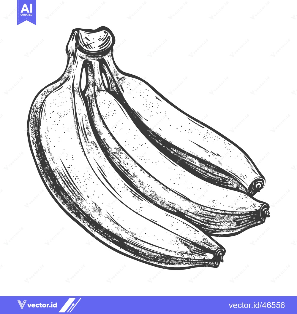 Premium Vector dari Hand-Drawn Sketch of a Bunch of Ripe Bananas