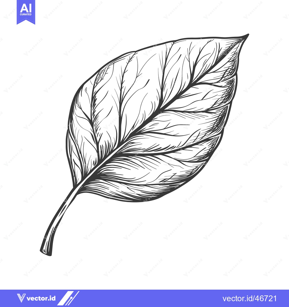 Premium Vector dari Hand-Drawn Sketch of a Detailed Leaf with Veins