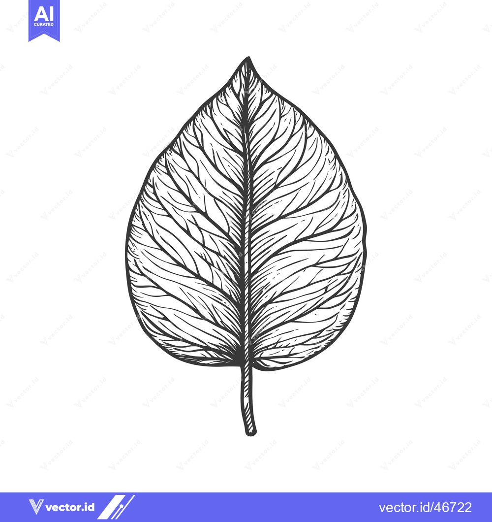 Premium Vector dari Hand-Drawn Sketch of a Detailed Leaf with Veins