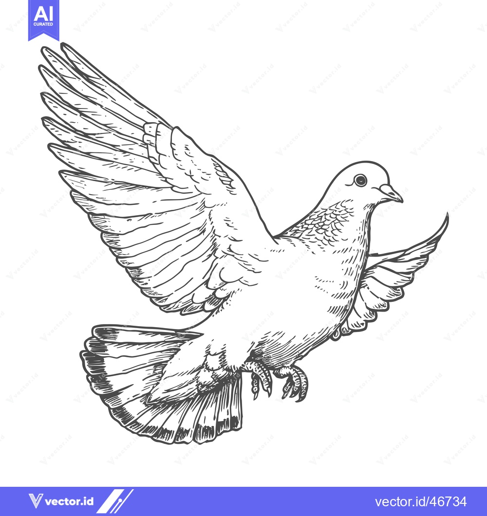 Premium Vector of Hand-Drawn Sketch of a Dove in Flight with Spread Wings