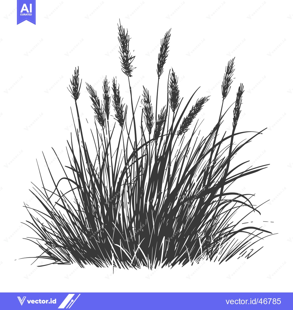 Premium Vector dari Hand-drawn Sketch of a Grassy Field with Tall Blades