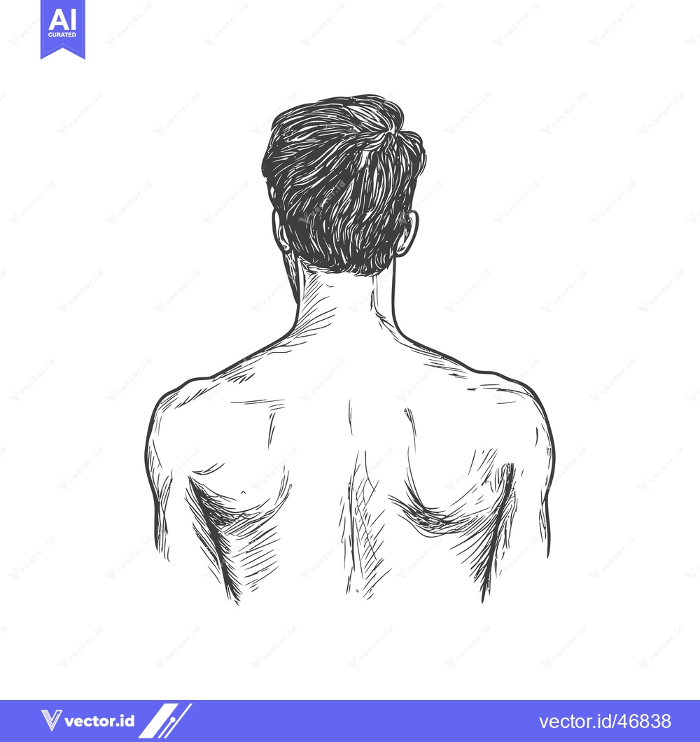 Premium Vector of Hand-Drawn Sketch of a Man's Back and Shoulders