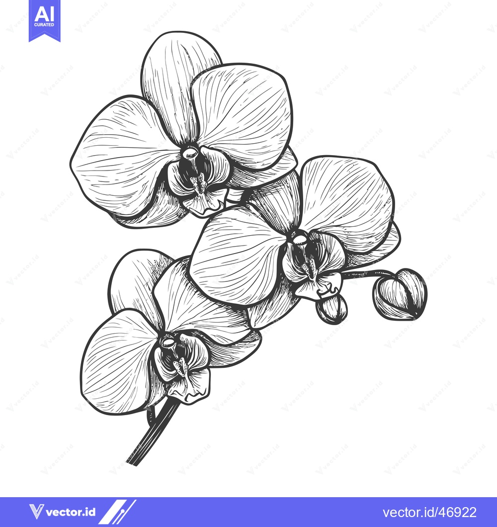 Premium Vector dari Hand-drawn sketch of an orchid flower with intricate details