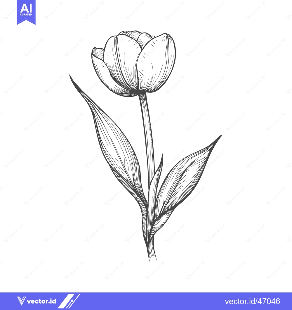 Premium Vector dari Hand-Drawn Sketch of a Single Tulip with Detailed Veining