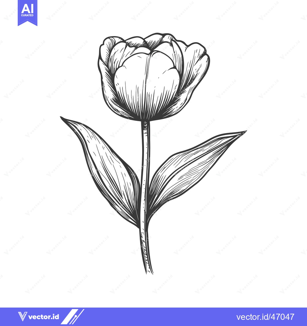 Premium Vector of Hand-Drawn Sketch of a Single Tulip with Stem and Leaves