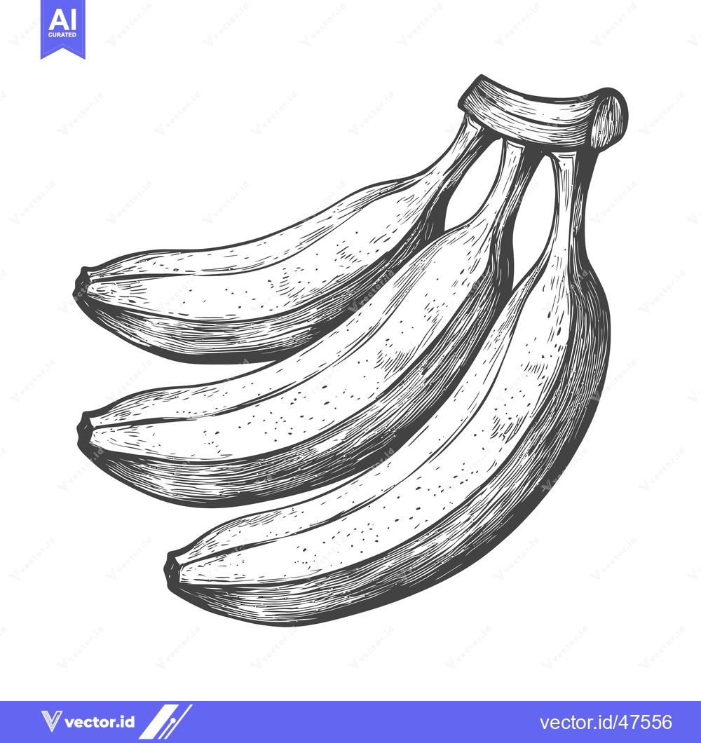 Premium Vector dari Hand-Drawn Sketch of Three Ripe Bananas
