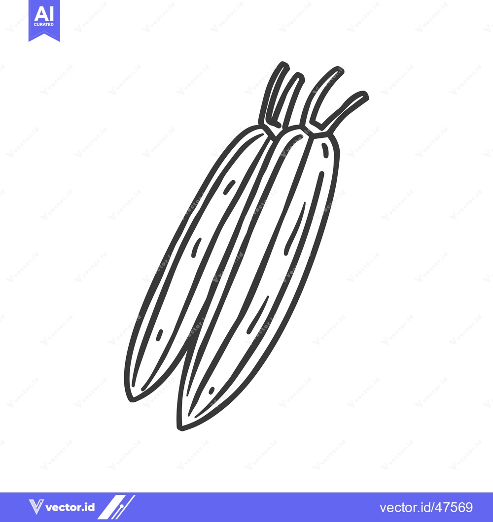 Premium Vector dari Hand-Drawn Sketch of Two Corn Cobs