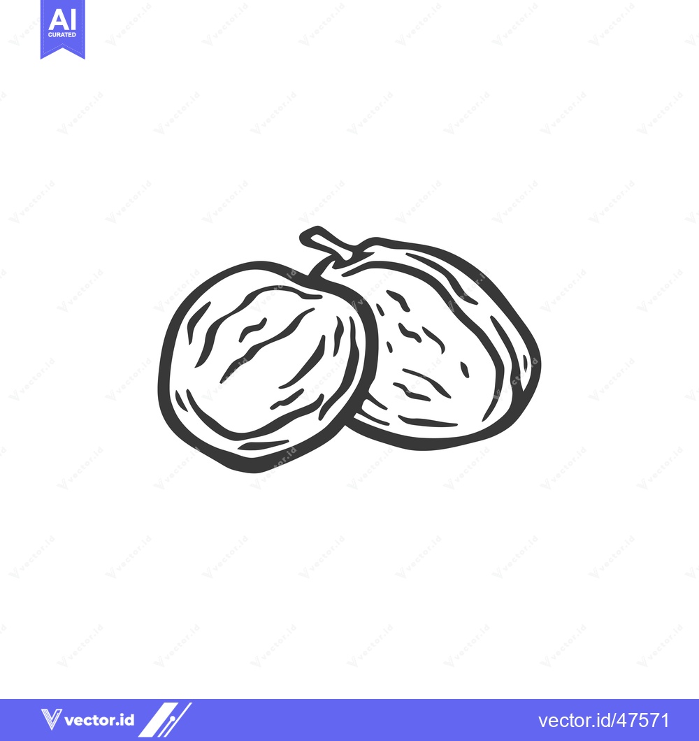 Premium Vector of Hand-Drawn Sketch of Two Dried Plums
