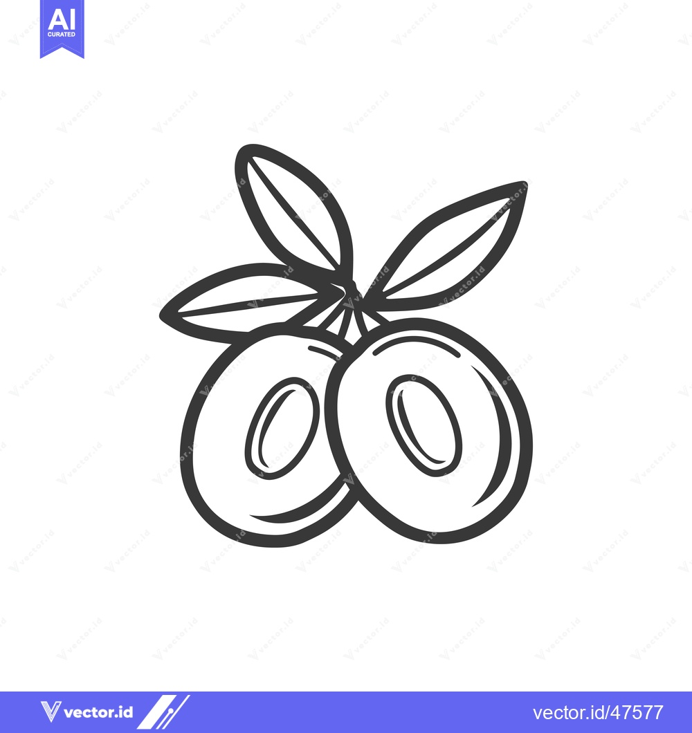 Premium Vector dari Hand-drawn sketch of two olives on a branch with leaves