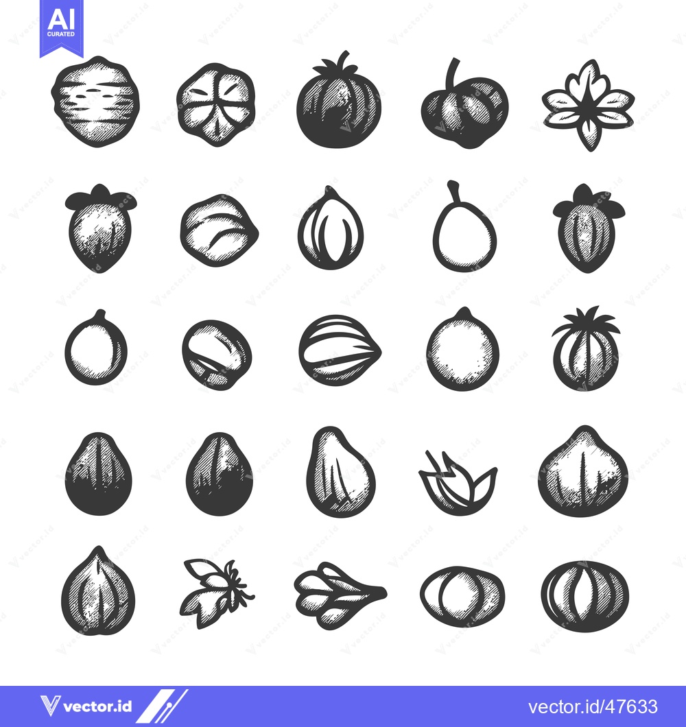 Premium Vector of Hand-Drawn Sketch of Various Nuts and Seeds