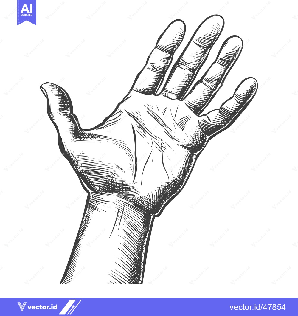 Premium Vector of Hand with outstretched palm, detailed line art sketch