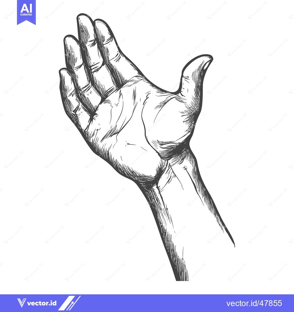 Premium Vector dari Hand with Palm Up, Sketch Style
