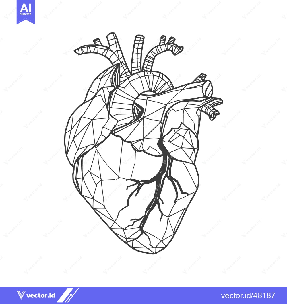 Premium Vector of Geometric Heart Illustration: Anatomical Precision in Polygonal Design
