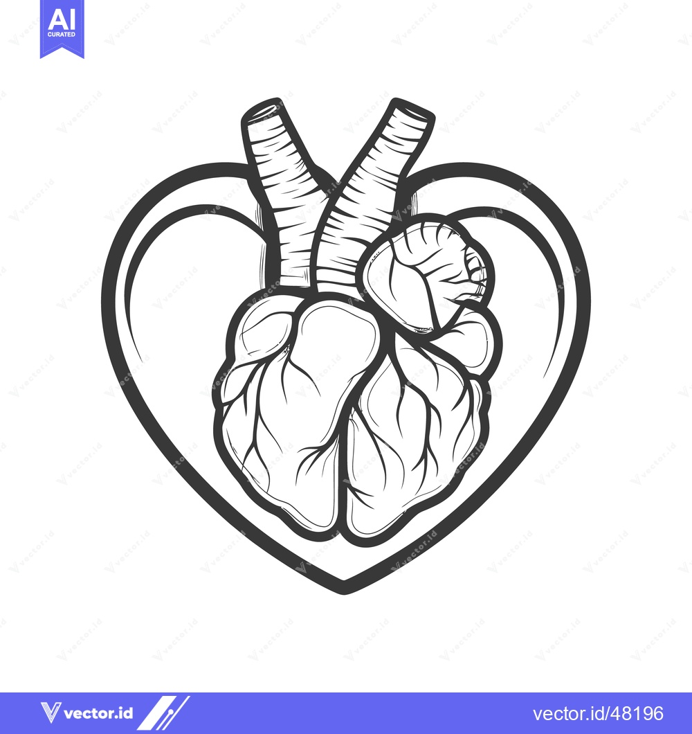 Premium Vector dari A simplified black and white anatomical heart illustration within a sh